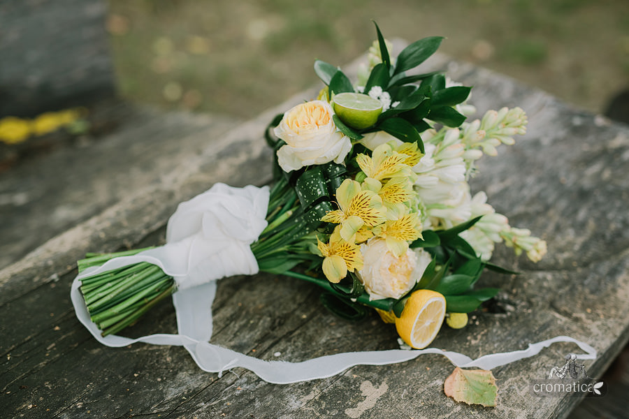 Andra & Michael - fotografii nuntă Conacul lui Maldăr (19)