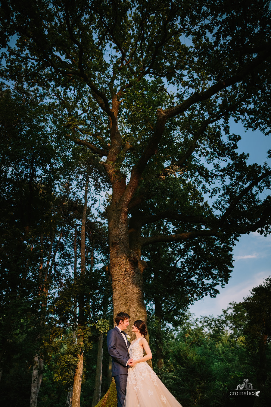 Mihaela & Chris - fotografii nunta Palatul Mogosoaia (29)